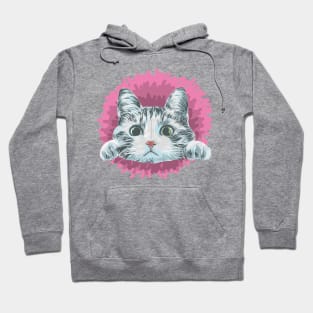 Cat Hoodie